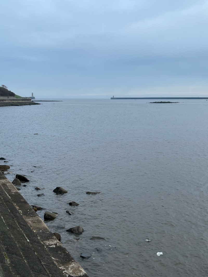 walking near me in Northumberland Park in winter
