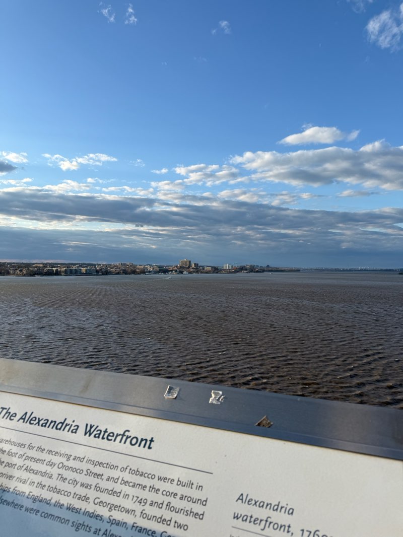 walking near me in King Street Park at the Waterfront in spring