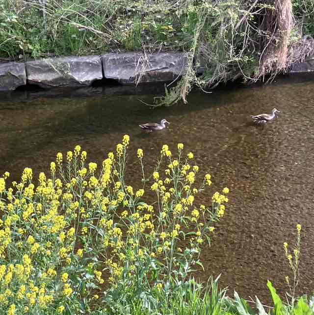 大内 洋志 post 2