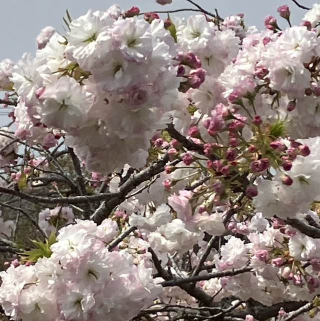 大内 洋志 post 2