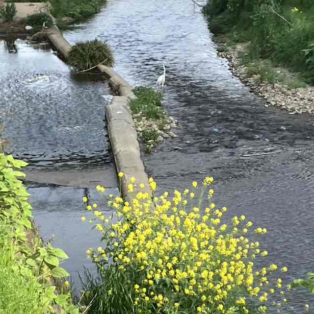 大内 洋志 post 3