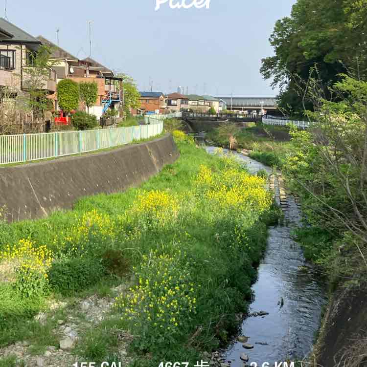 大内 洋志 post 1