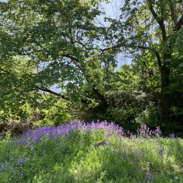 大内 洋志 post 3