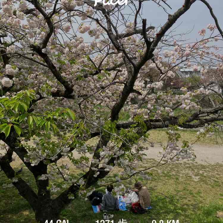 大内 洋志 post 1