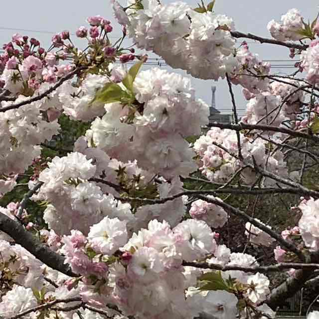 大内 洋志 post 3