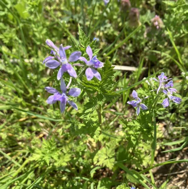 大内 洋志 post 2