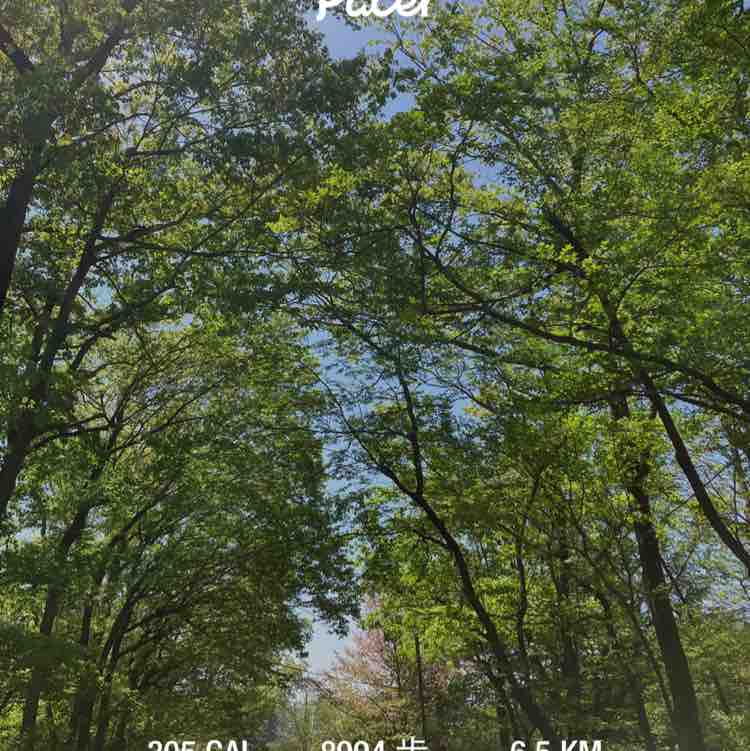 大内 洋志 post 1