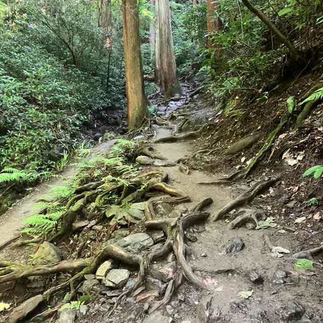 大内 洋志 post 3