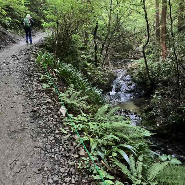 大内 洋志 post 2