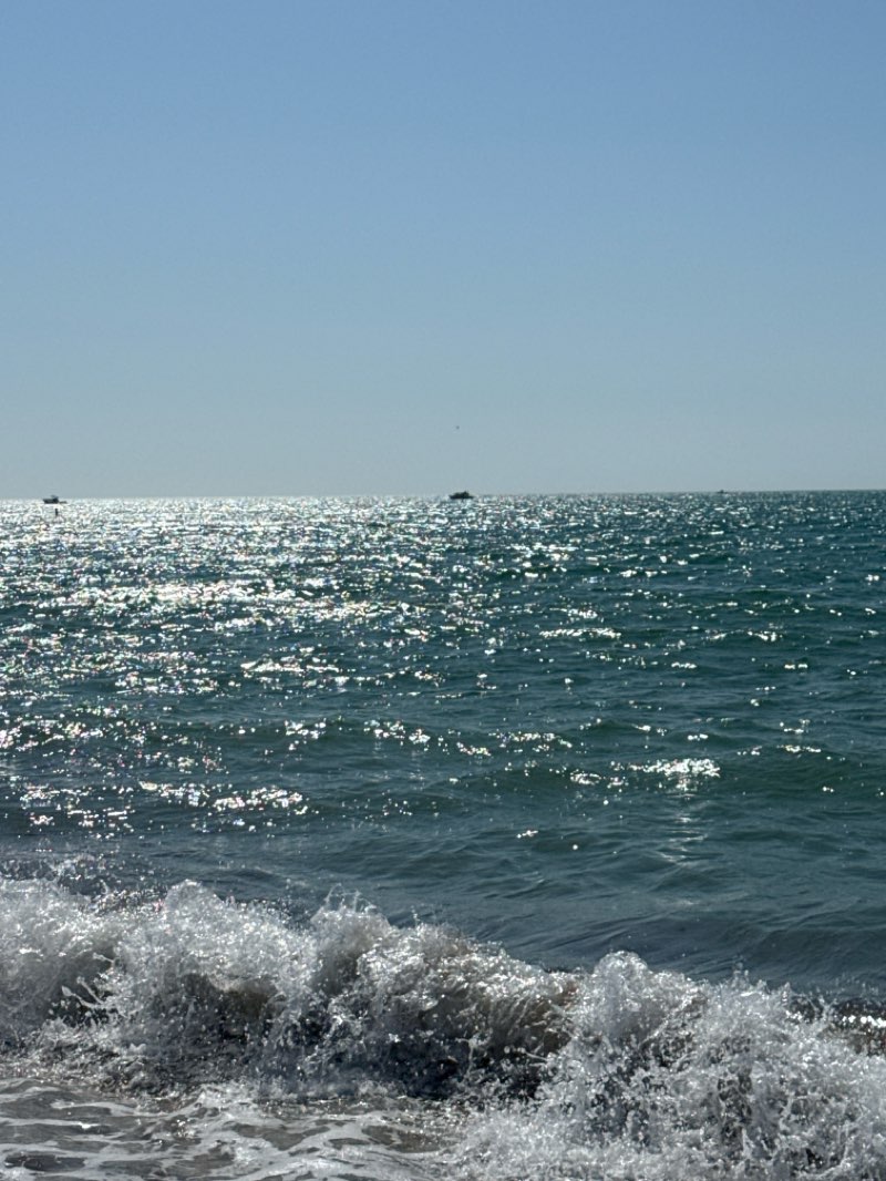 walking near me in Sarasota County Parks in winter