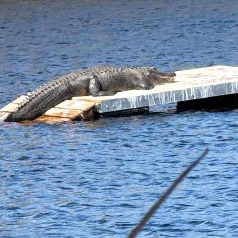 Valerie S❤️ post 2