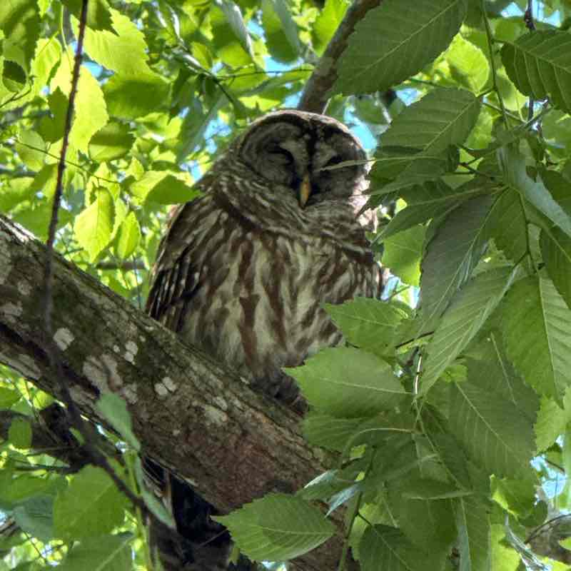 Valerie S❤️ post 1