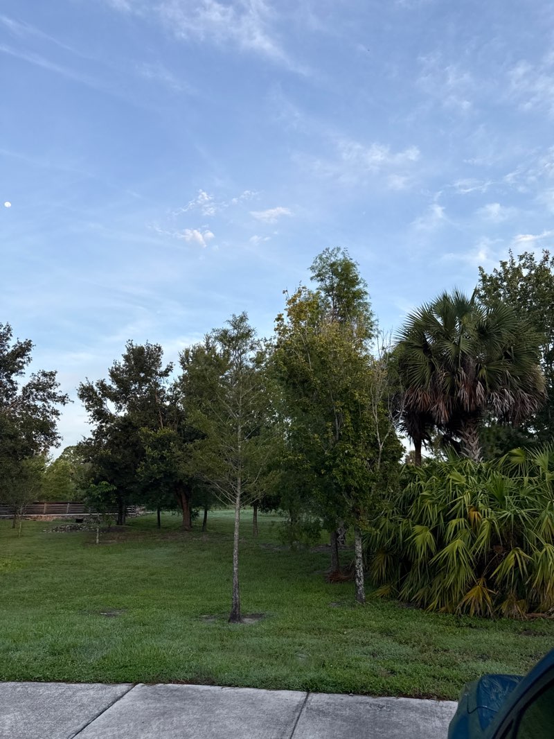 walking near me in Lehigh Acres Trailhead Park in summer