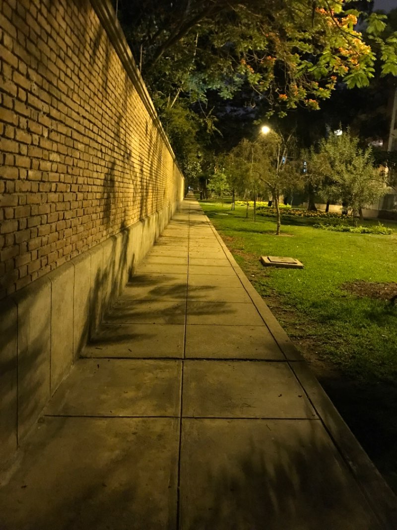 walking near me in Parque Belén in summer