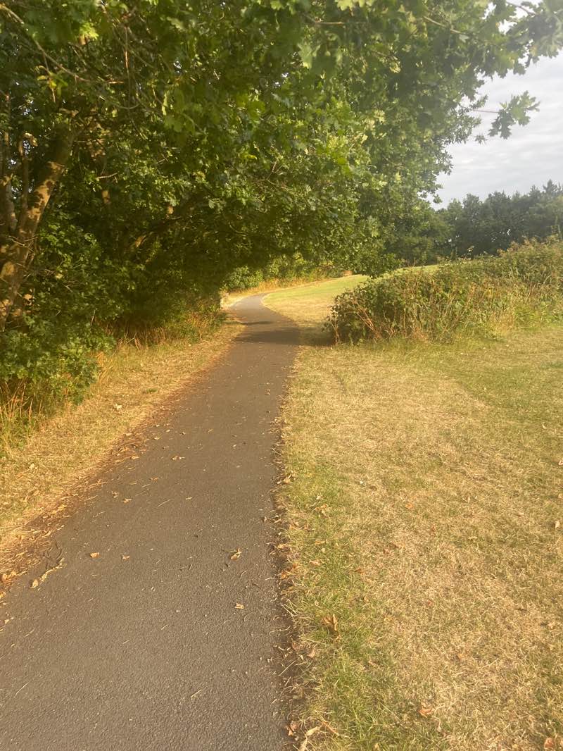 walking near me in Oakwood Park in summer