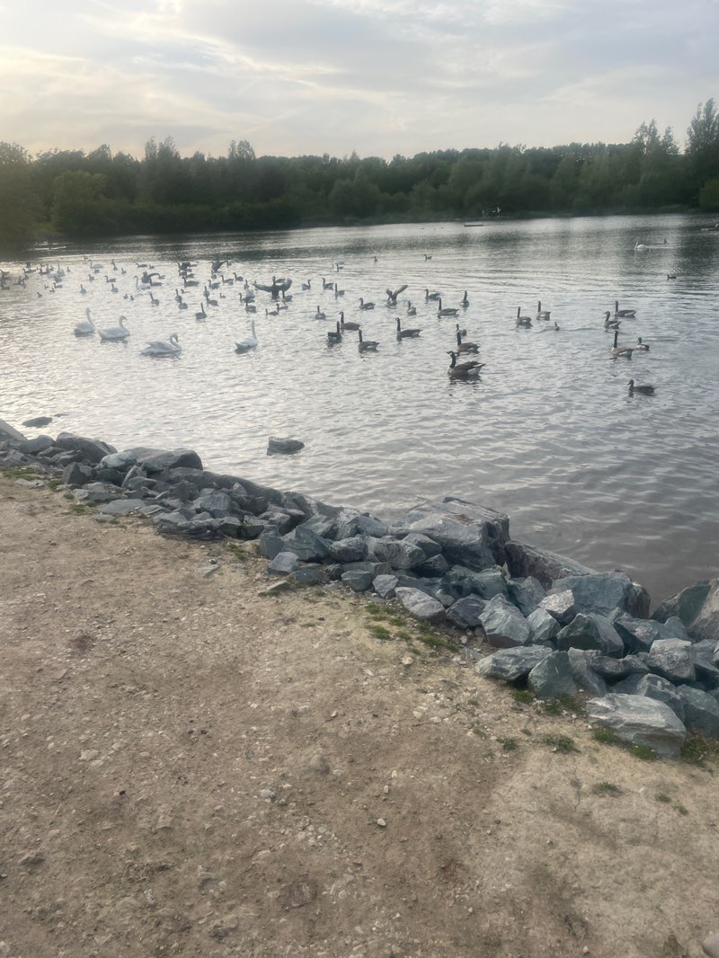 walking near me in Straw's Bridge in summer