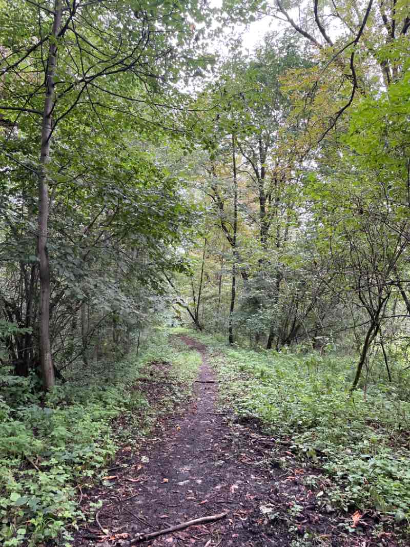 walking near me in Lipenský park in winter