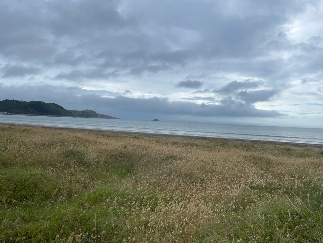 walking near me in Churchill Park in spring