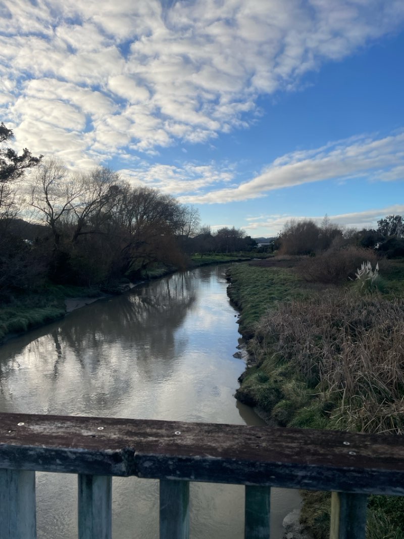walking near me in Harry Barker Reserve in spring