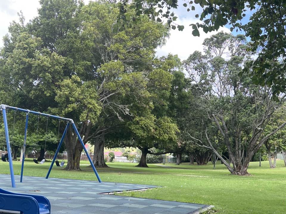 walking near me in Warren Park in summer