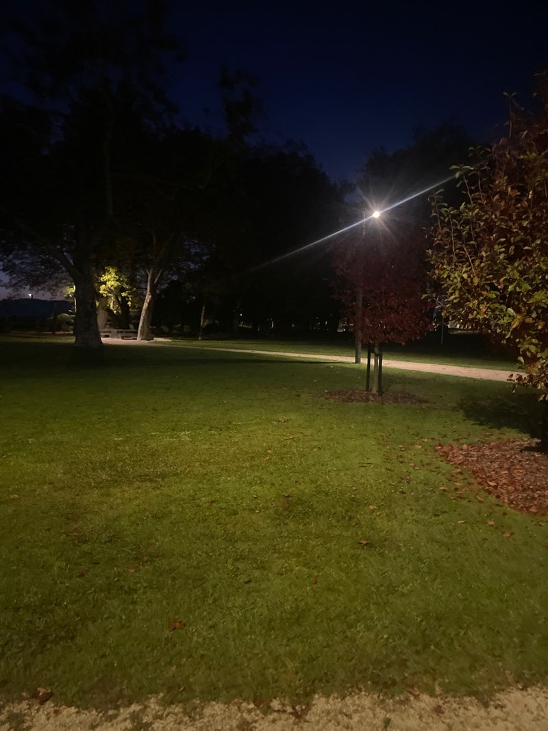 walking near me in War Memorial Park in autumn
