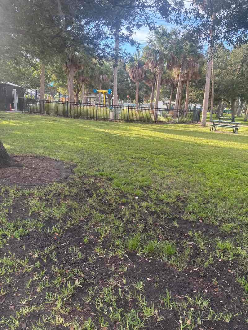 walking near me in Ballast Point Park in autumn