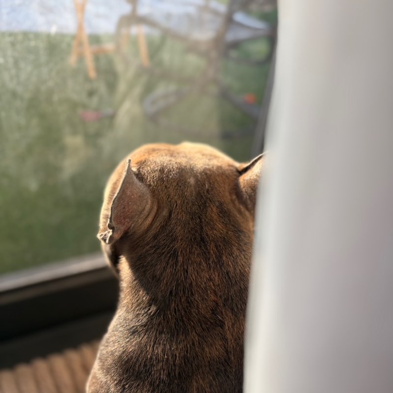 Cam P profile