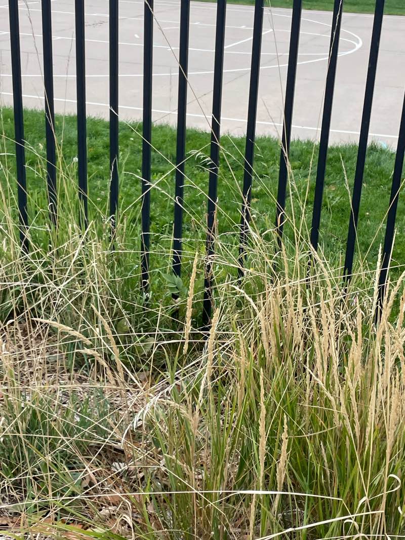 walking near me in Greenleaf Park in autumn