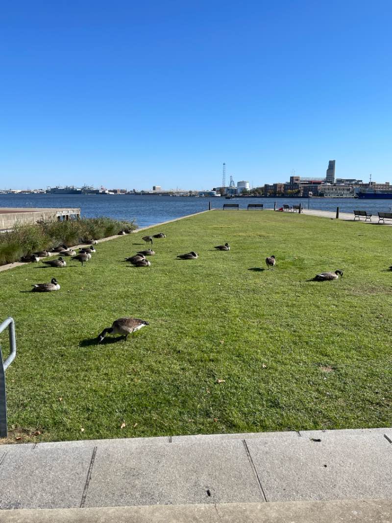 walking near me in Wills Park in winter