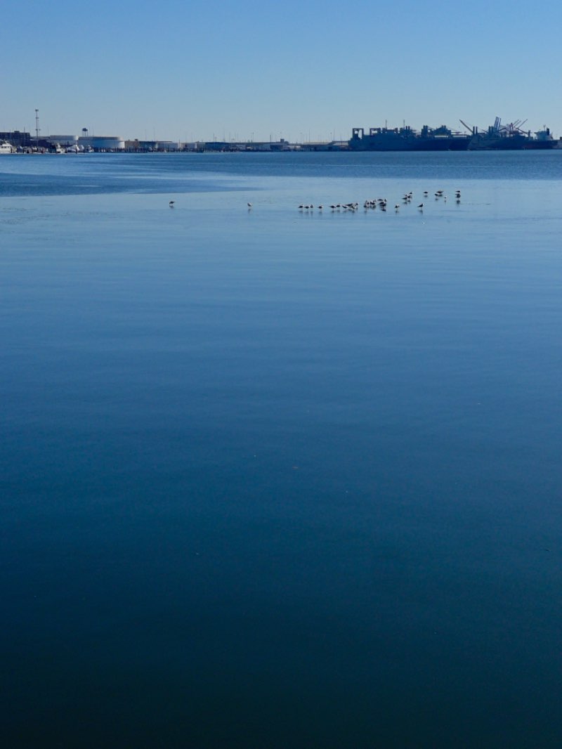 walking near me in McKeldin Square in winter