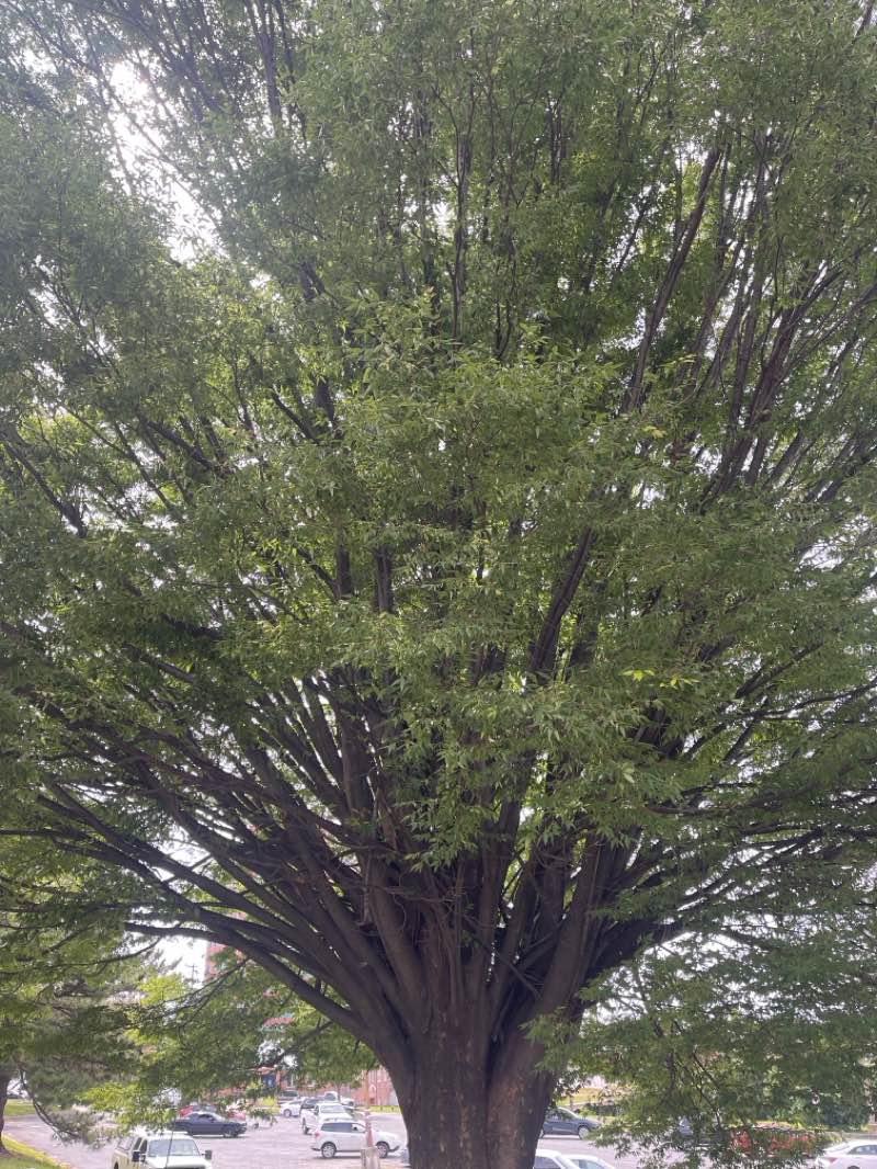 walking near me in Canton Soccer Park in spring