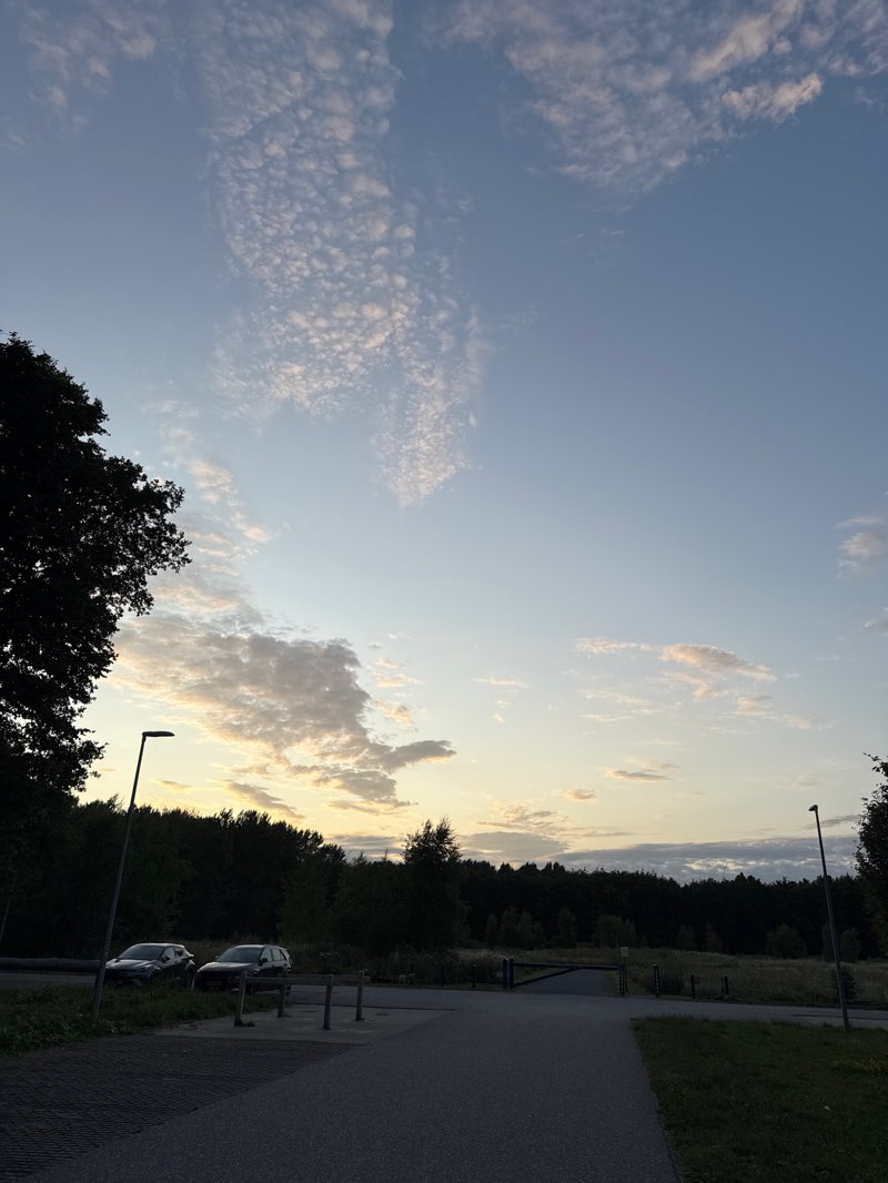 walking near me in De Kiem in summer