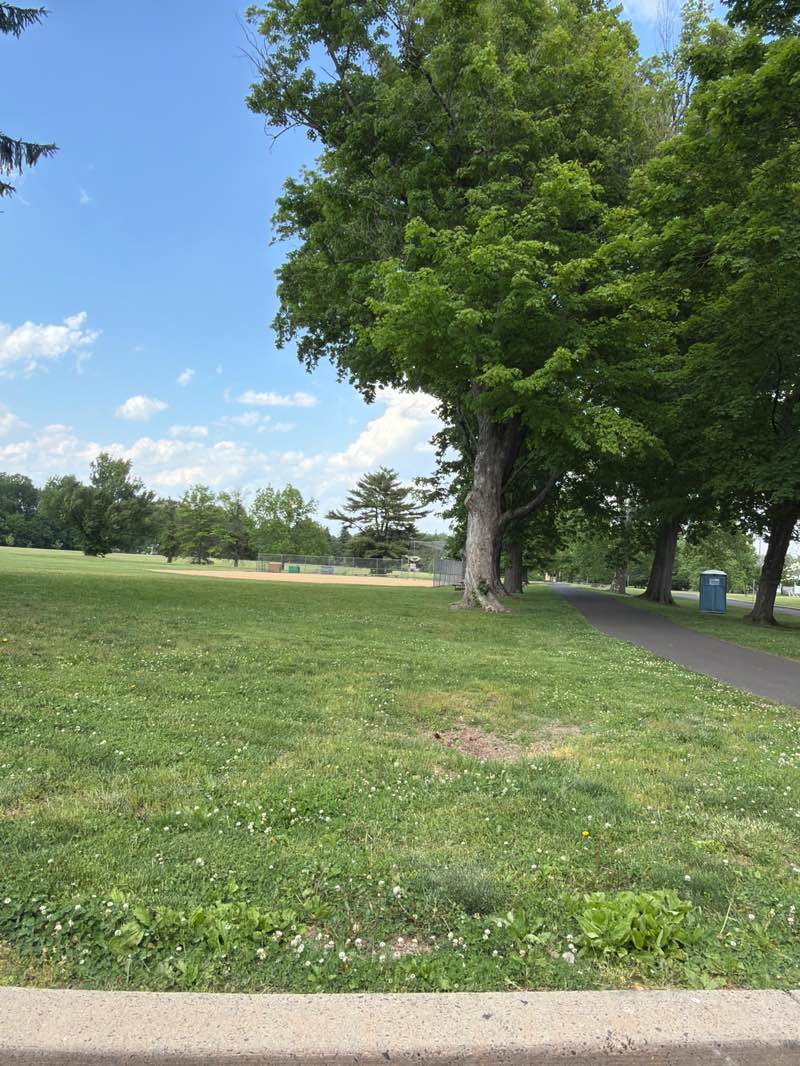walking near me in Fluehr Park in summer