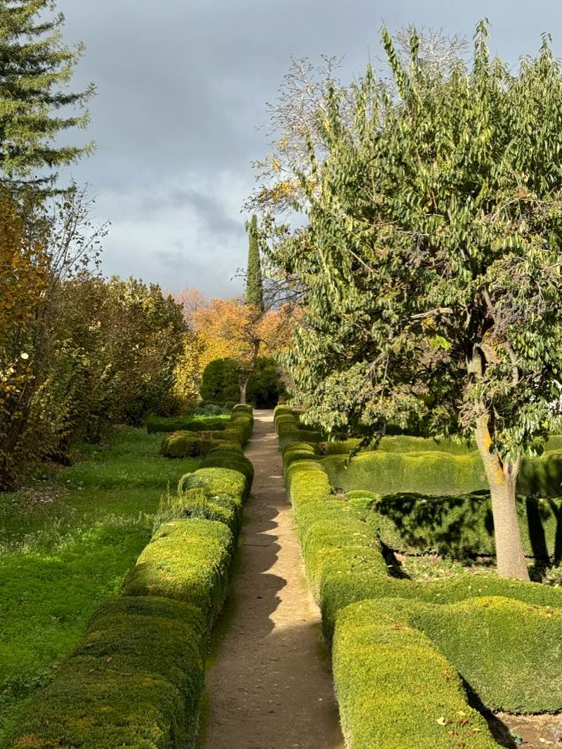 walking near me in Parque Ana Orantes in winter
