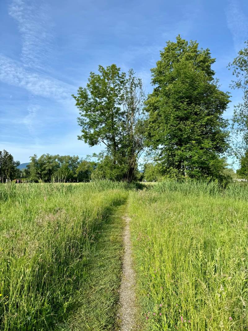walking near me in Strandbad Feldwies in winter