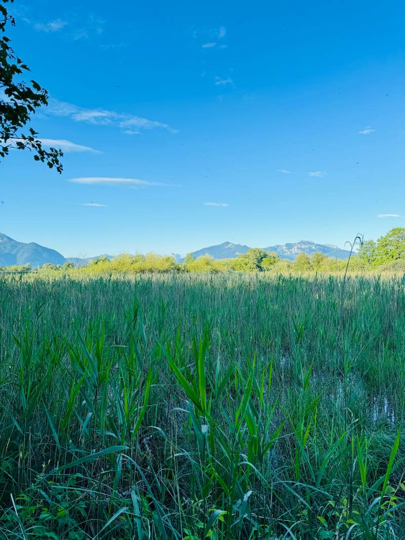 walking near me in Strandbad Feldwies in winter