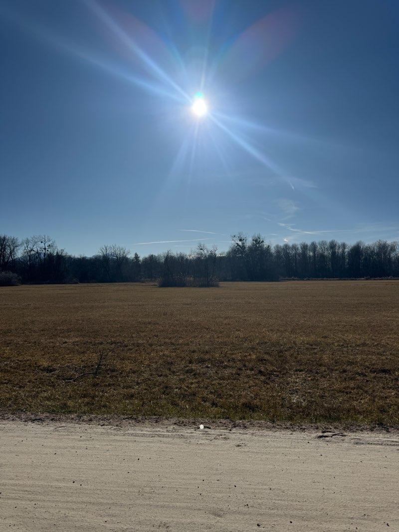 walking near me in Naturpark Hofanger in spring