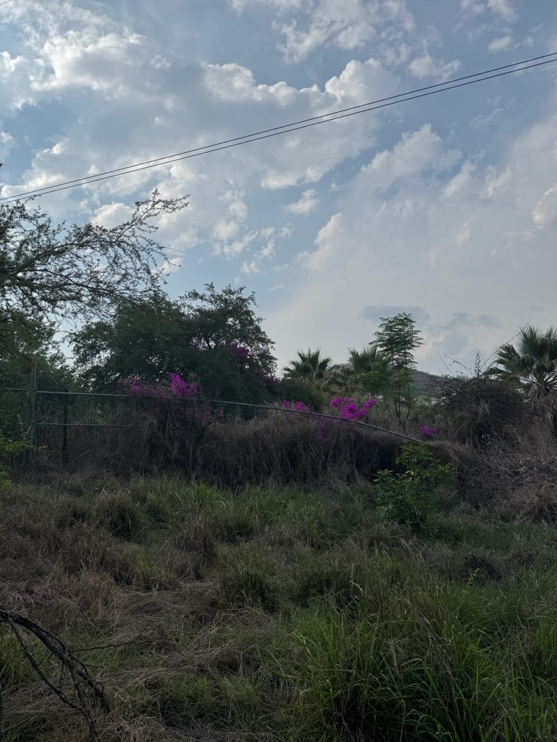 walking near me in Parque Sierra Alta in spring