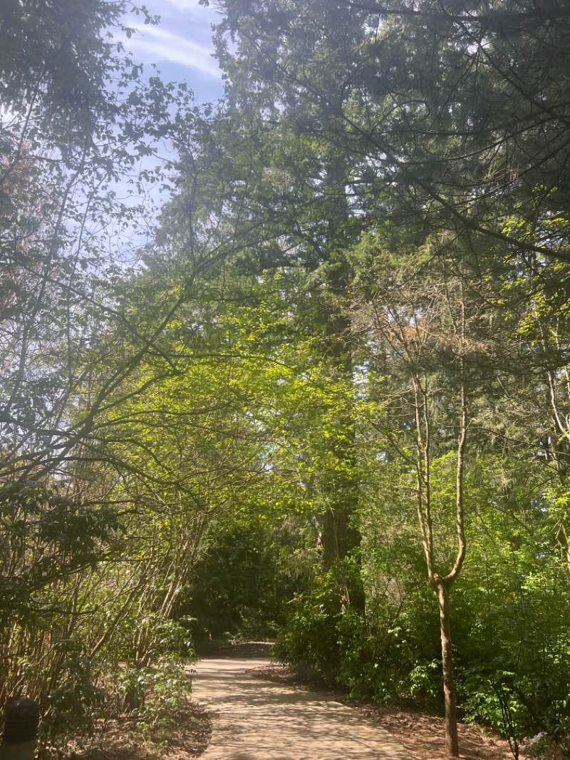 walking near me in Evergreen Park in spring