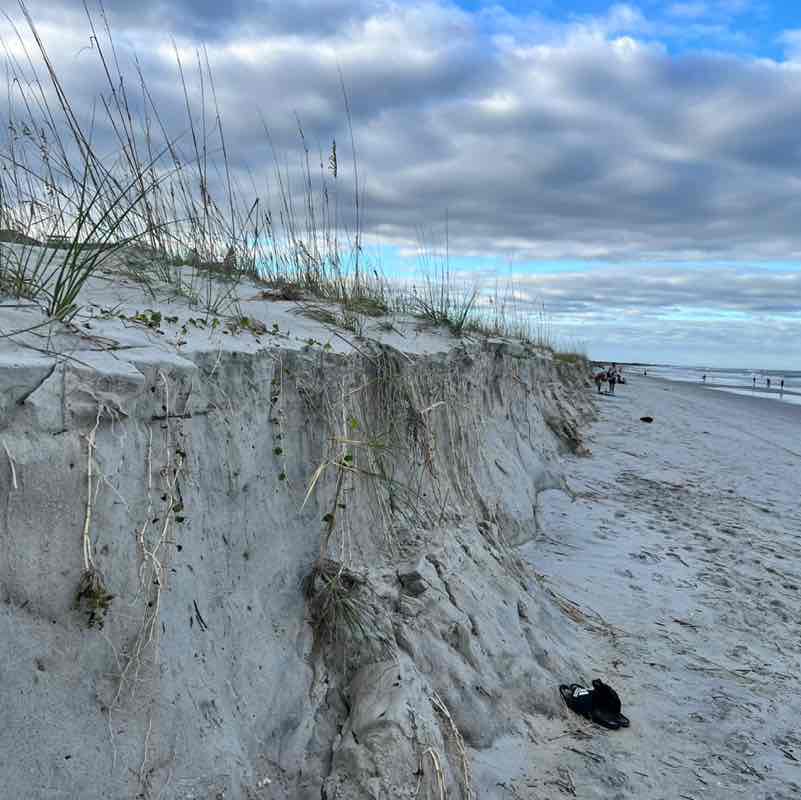 2022 City Steppers Viktoriya Lishneva post image