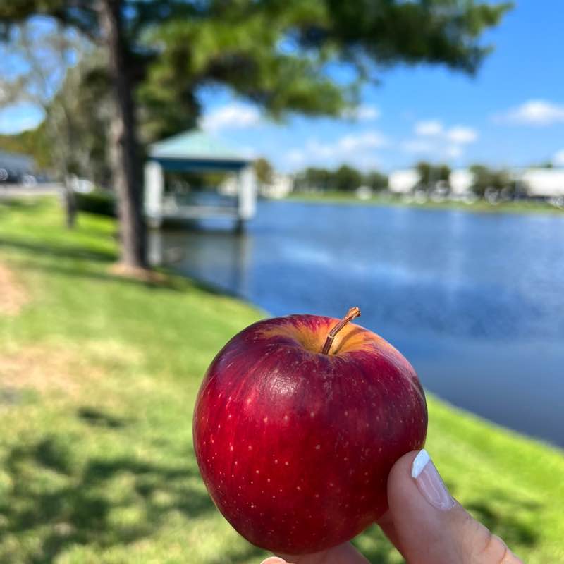 Viktoriya Lishneva post 3