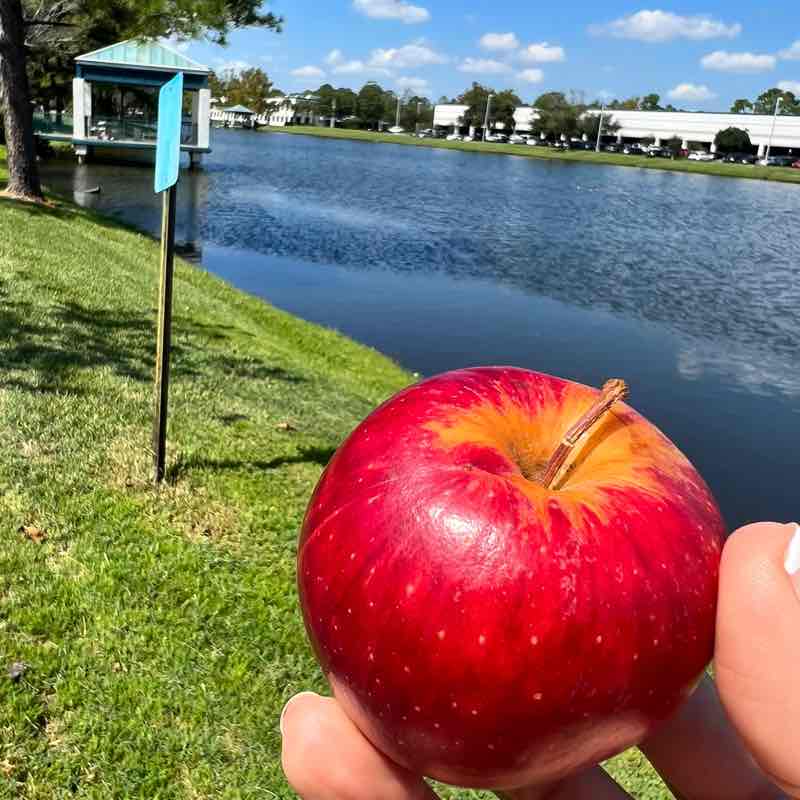 Viktoriya Lishneva post 2