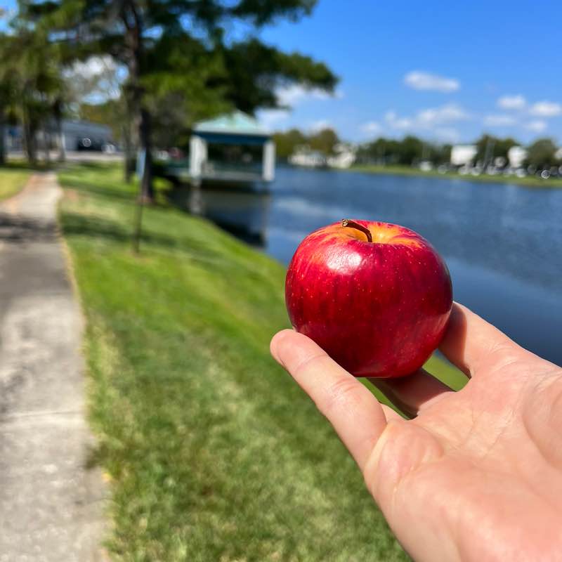 Viktoriya Lishneva post 1