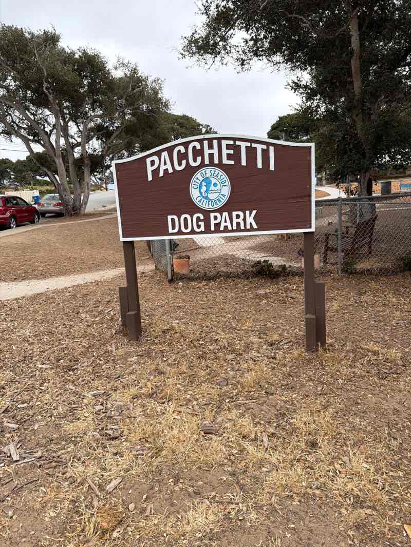 walking near me in Pacchetti Park in summer