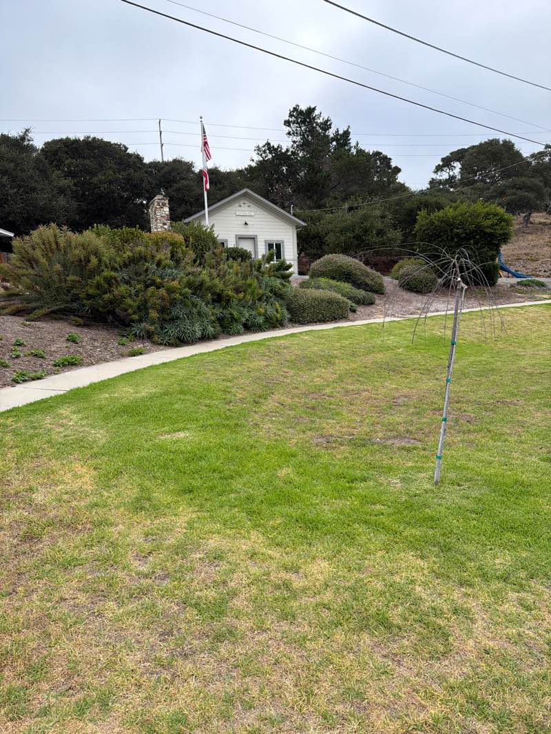 walking near me in Del Rey Park in summer