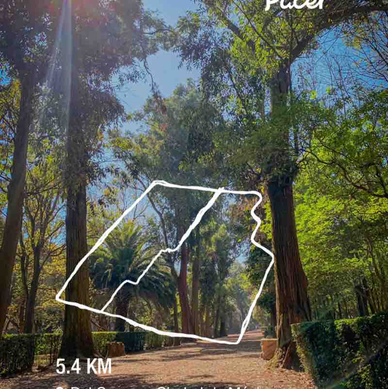 Juan Carlos Molina post 1