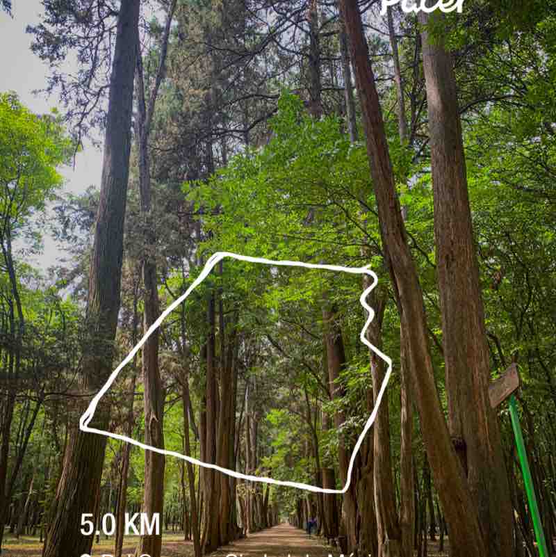 Juan Carlos Molina post 1