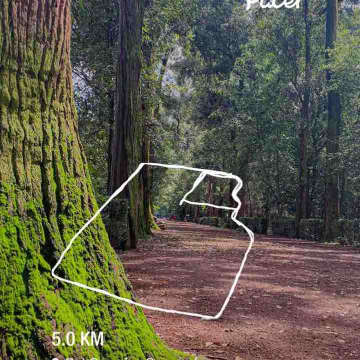 Juan Carlos Molina post 1