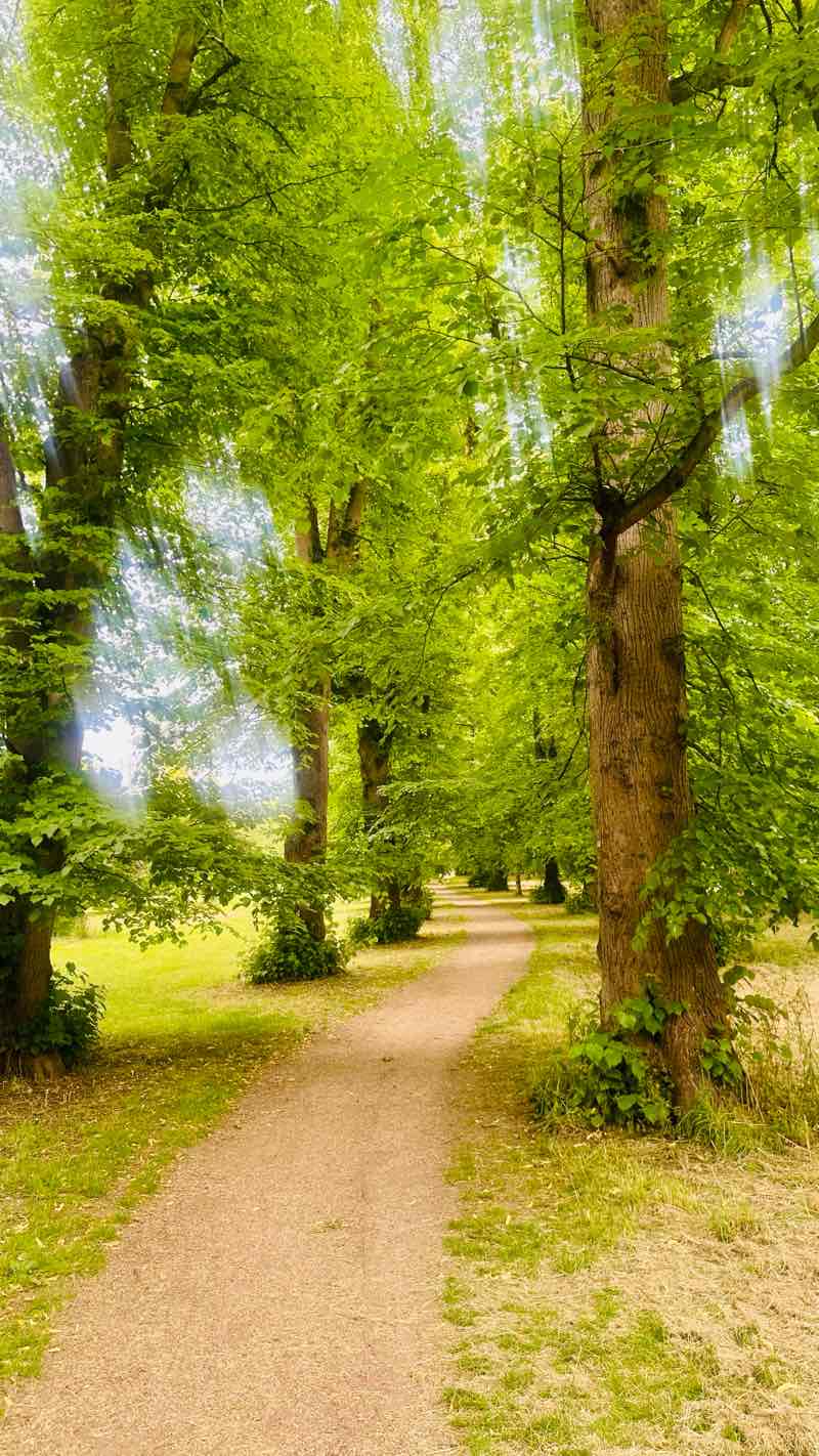 walking near me in Bury Knowle Park in summer