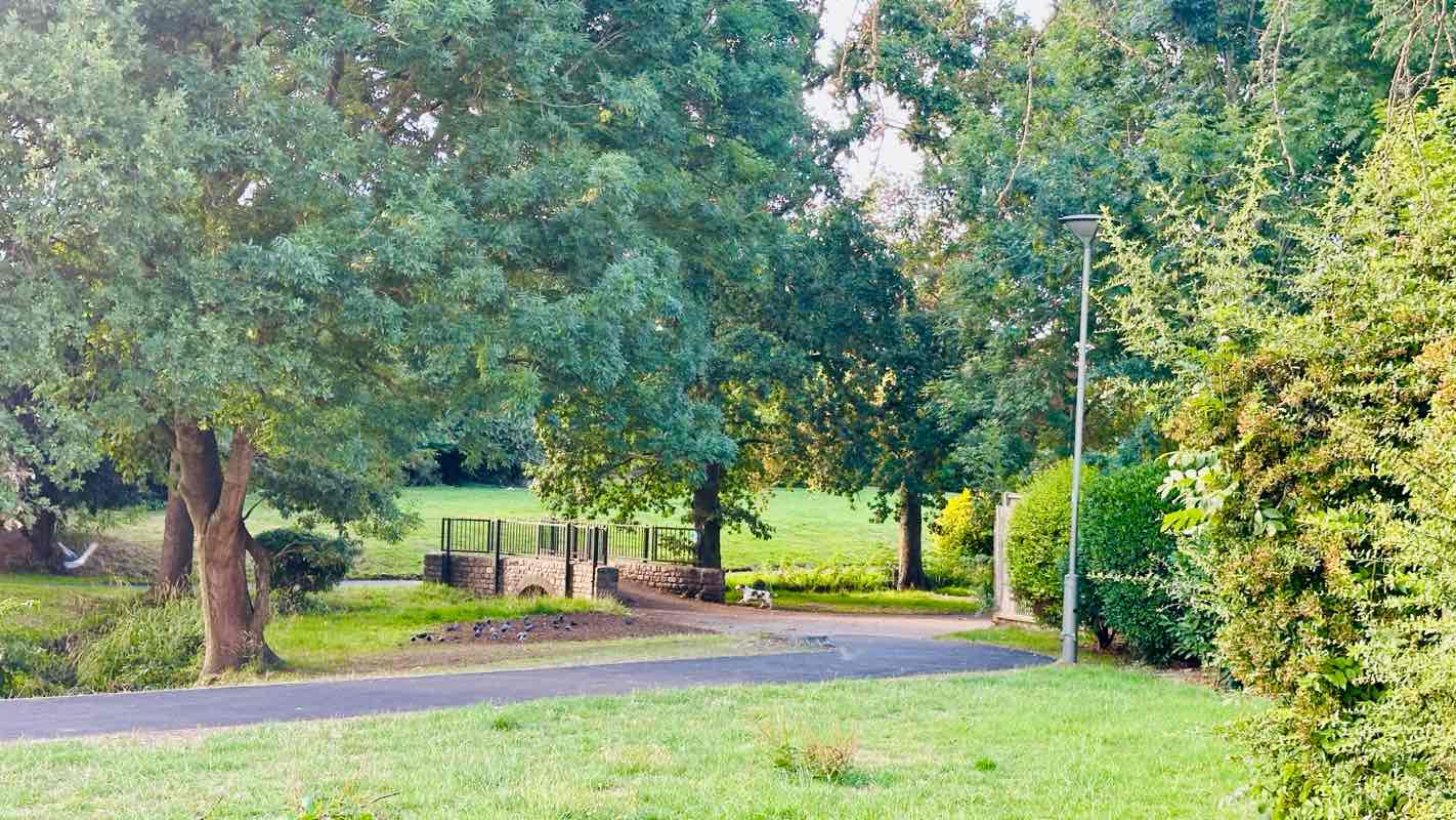 walking near me in Woodcroft Park in autumn